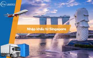 Nhập khẩu từ Singapore