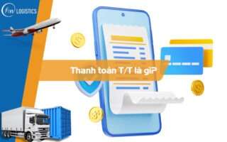 Thanh-toan-t-t-la-gi