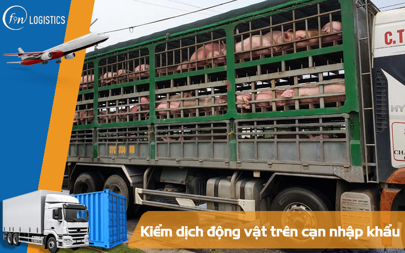 3 bước thực hiện kiểm dịch động vật trên cạn nhập khẩu 6 Kiểm dịch động vật