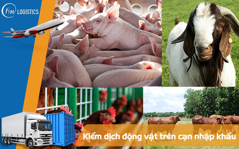 3 bước thực hiện kiểm dịch động vật trên cạn nhập khẩu 7 Kiểm dịch động vật