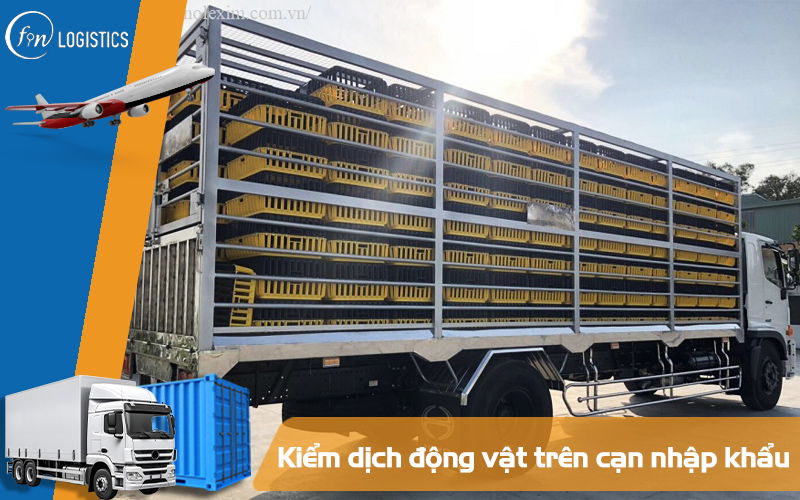 3 bước thực hiện kiểm dịch động vật trên cạn nhập khẩu 8 Kiểm dịch động vật
