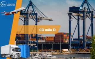 CO mẫu D