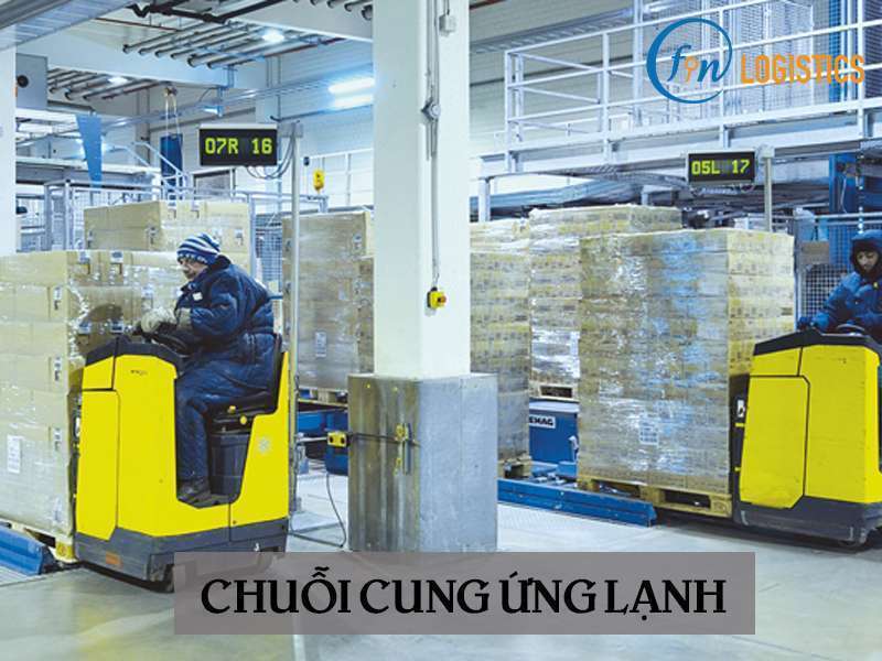 Vài điều cần biết về chuỗi cung ứng lạnh (Cold chain) 12 Chuỗi cung ứng lạnh