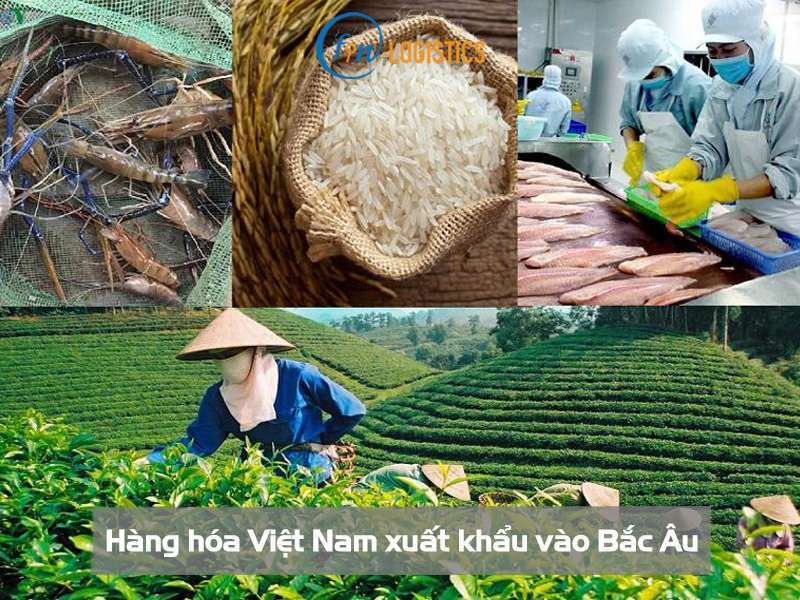 Một số lưu ý cần thiết khi hàng hóa Việt Nam xuất khẩu vào Bắc Âu mới nhất 11 Hàng hóa Việt Nam xuất khẩu vào Bắc Âu