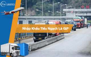 Nhập khẩu tiểu ngạch