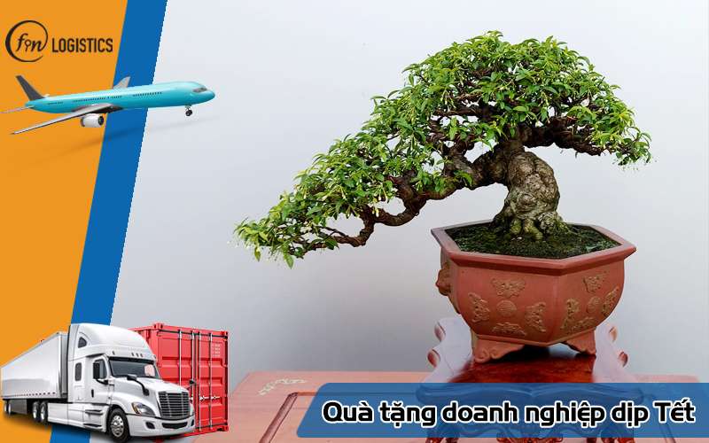 Những mẫu quà tặng doanh nghiệp dịp Tết cho khách hàng và nhân viên năm 2025 38 Quà tặng doanh nghiệp dịp Tết