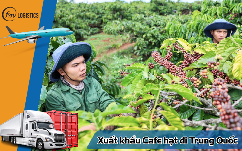 Hướng dẫn quy trình các bước xuất khẩu cafe hạt đi Trung Quốc mới nhất 10 Xuất khẩu Cafe hạt đi Trung Quốc