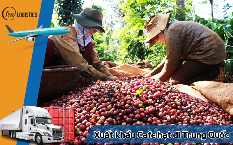 Hướng dẫn quy trình các bước xuất khẩu cafe hạt đi Trung Quốc mới nhất 11 Xuất khẩu Cafe hạt đi Trung Quốc