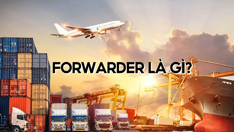 Những công ty Forwarder tại Việt Nam mà bạn nên biết năm 2025 15 Những công ty Forwarder tại Việt Nam