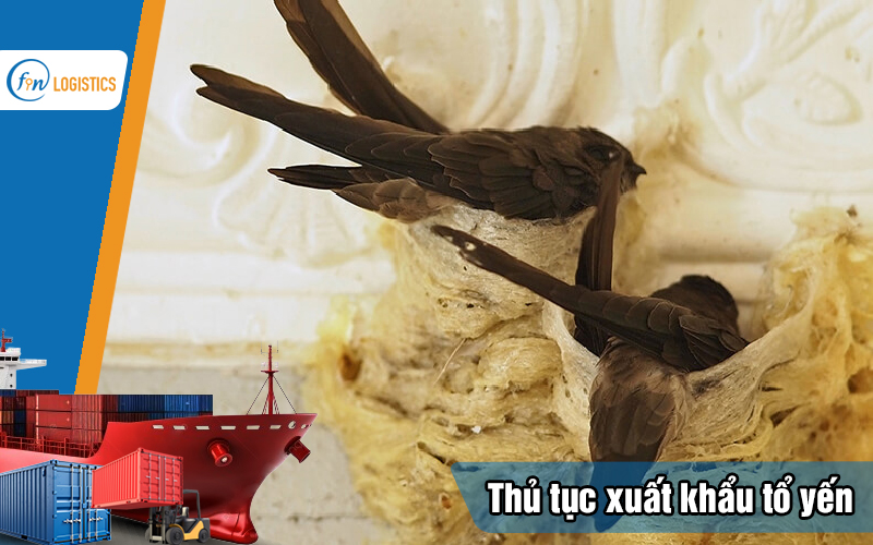 Thu-tuc-xuat-khau-to-yen