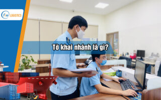 To-khai-nhanh-la-gi