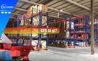 CFS-la-gi