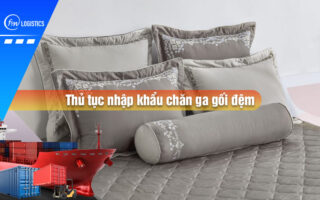 Thu-tuc-nhap-khau-chan-ga-goi-dem