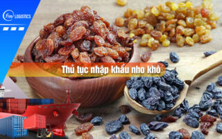 Thu-tuc-nhap-khau-nho-kho