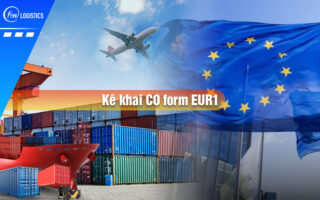 Ke-khai-co-form-eur1