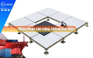 Nhap-khau-san-nang-chong-tinh-dien