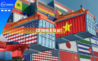 Co-form-b-la-gi