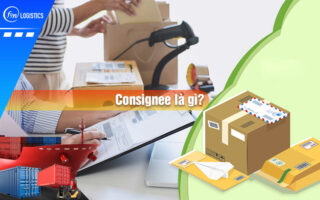 Consignee-la-gi