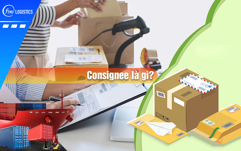 Consignee là gì? Làm rõ chi tiết mối liên hệ giữa Notify Party và Consignee