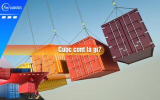 Cuoc-cont-la-gi