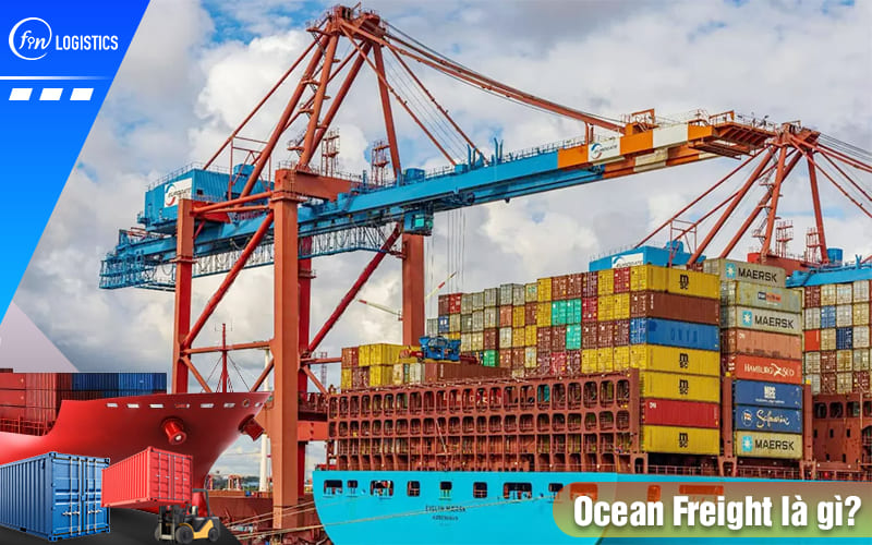Ocean-freight-la-gi