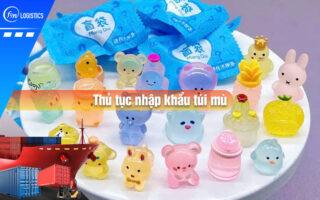 Thu-tuc-nhap-khau-tui-mu