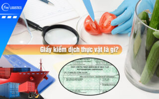 Giay-kiem-dich-thuc-vat-la-gi