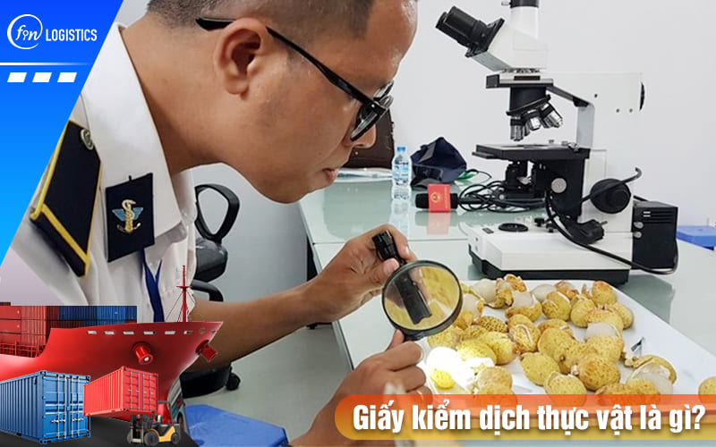 Những điều bạn cần biết về giấy kiểm dịch thực vật (Phytosanitary Certificate) 10 Giay-kiem-dich-thuc-vat-la-gi