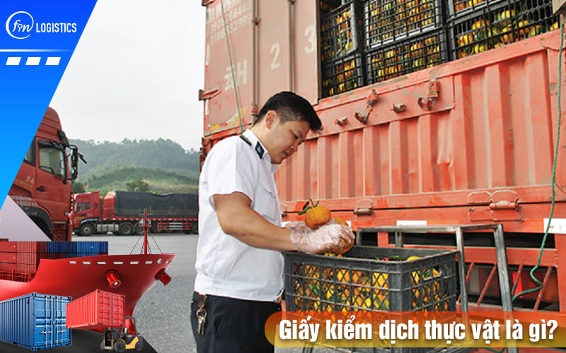 Những điều bạn cần biết về giấy kiểm dịch thực vật (Phytosanitary Certificate) 15 Giay-kiem-dich-thuc-vat-la-gi
