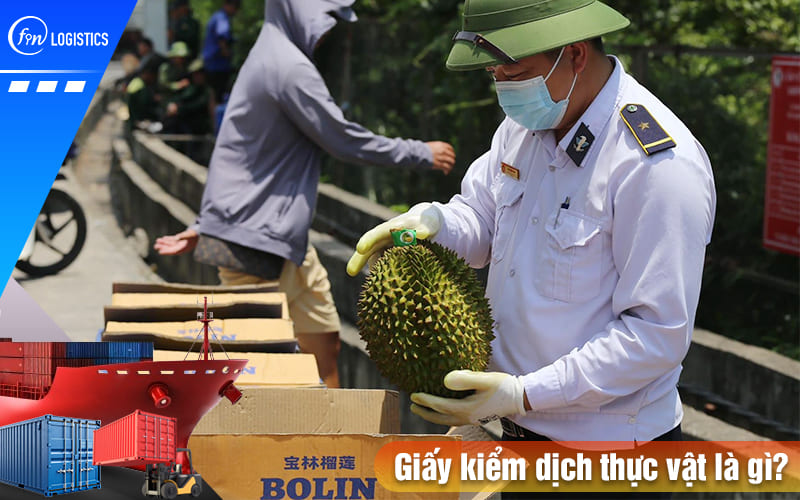 Những điều bạn cần biết về giấy kiểm dịch thực vật (Phytosanitary Certificate) 13 Giay-kiem-dich-thuc-vat-la-gi