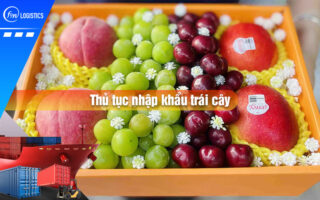 Thu-tuc-nhap-khau-trai-cay
