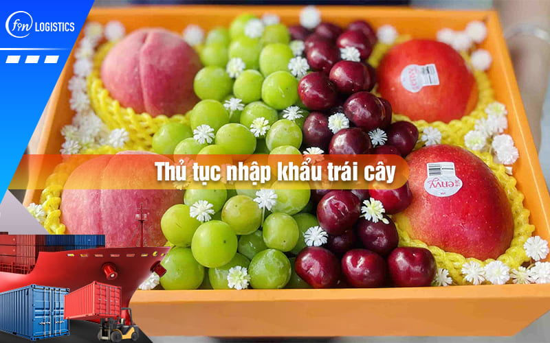 Những bước thực hiện thủ tục nhập khẩu trái cây các loại về Việt Nam