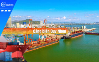 Cang-bien-quy-nhon