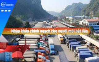 Nhap-khau-chinh-ngach-cho-nguoi-moi-bat-dau