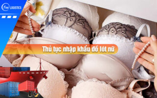 Thu-tuc-nhap-khau-do-lot-nu