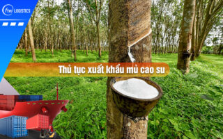 Thu-tuc-xuat-khau-mu-cao-su